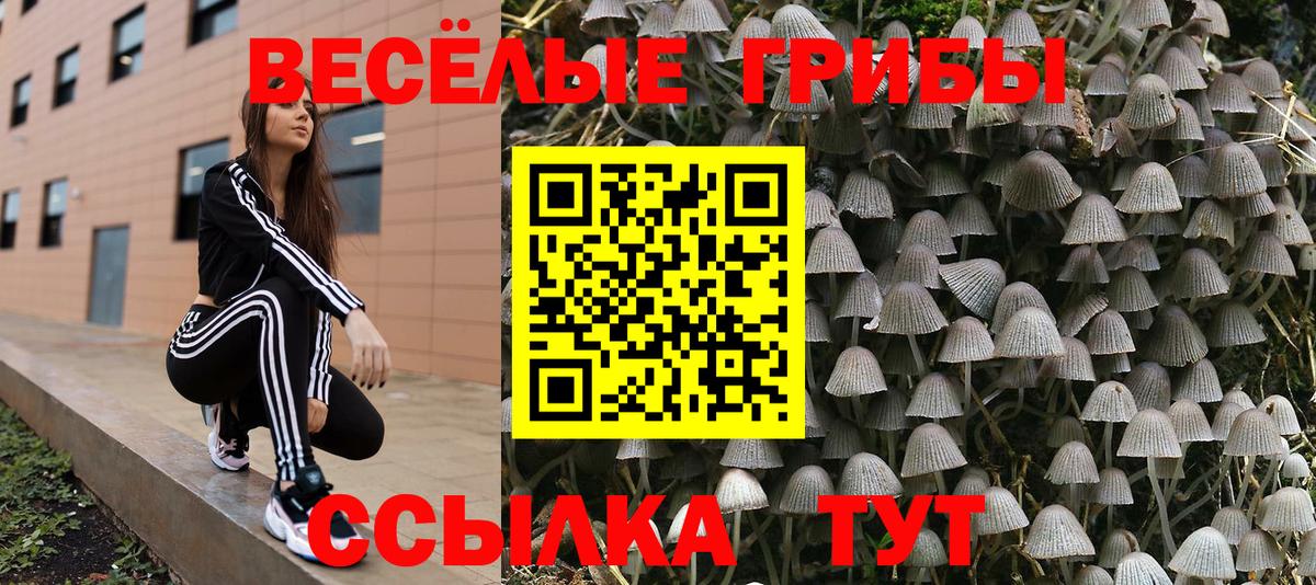 Галлюциногенные грибы Magic Shrooms Сланцы