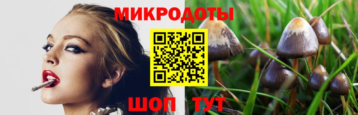 Псилоцибиновые грибы GOLDEN TEACHER  Псилоцибиновые грибы MAGIC MUSHROOMS  Сланцы  Вход с VPN 